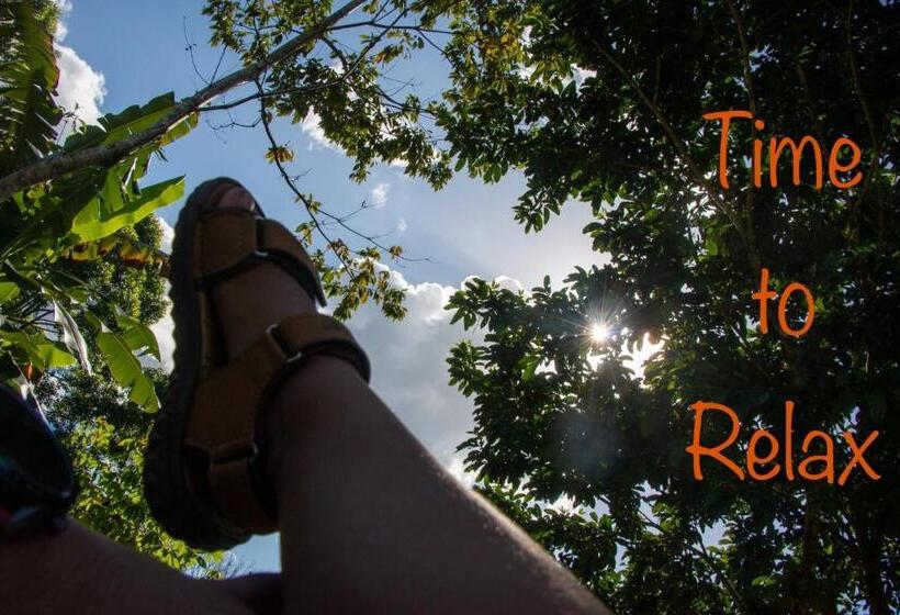 بنسيون Eco Guest House   Sarapiquí 1