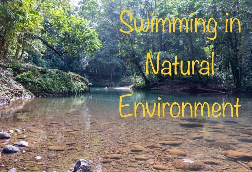 بنسيون Eco Guest House   Sarapiquí 1