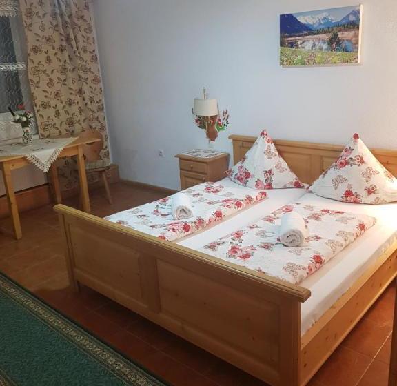 بنسيون Casa Cerbului1