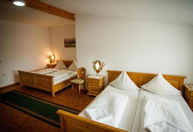 بنسيون Casa Cerbului1