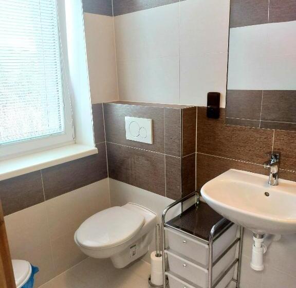 膳宿费 Kopeček   Penzion