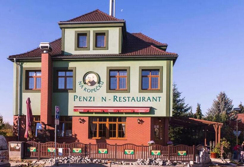 膳宿费 Kopeček   Penzion