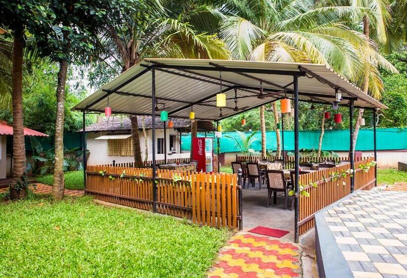 Pensió Lazy Frog Guest House
