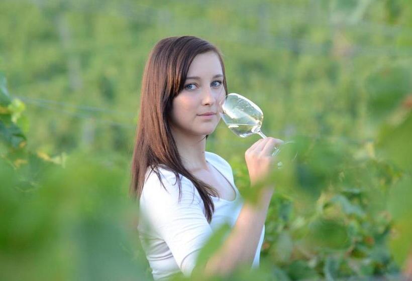 펜션 Penzion A Vinařství U Vrbů