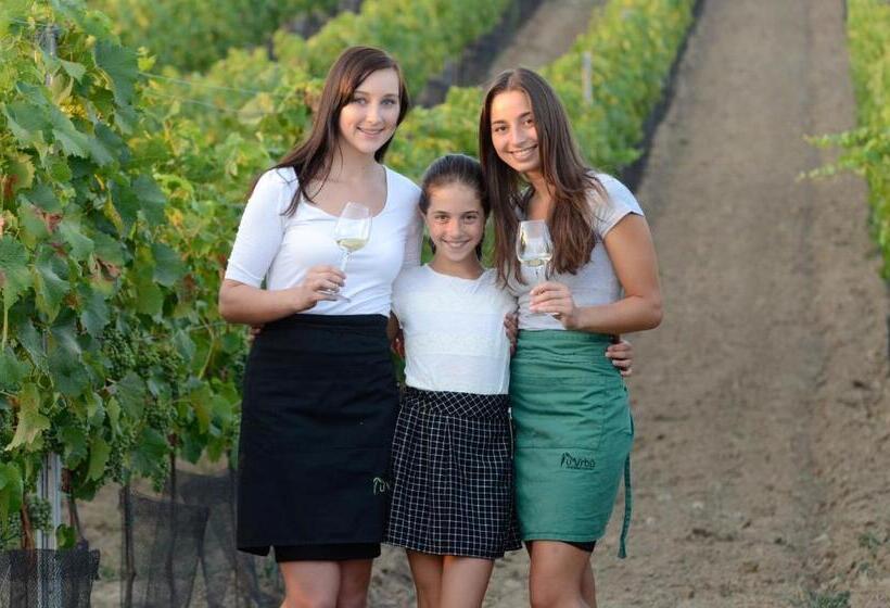 膳宿费 Penzion A Vinařství U Vrbů