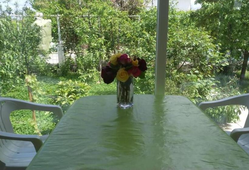 ペンション Residencial Playa Lisa