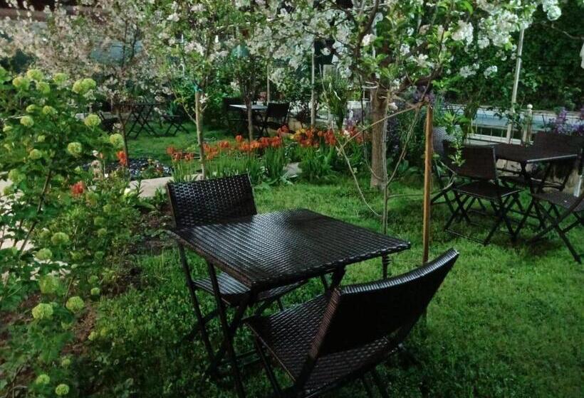 ペンション Residencial Playa Lisa