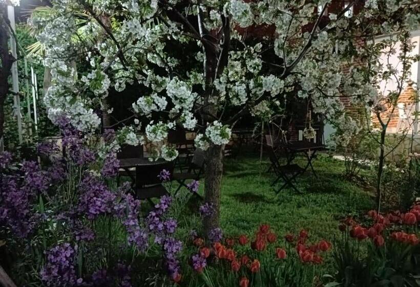 ペンション Residencial Playa Lisa