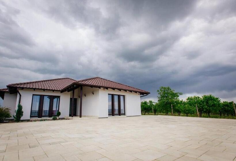 Pensiunea Primaverii