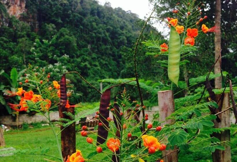 渡假胜地  Chiang Dao Hut