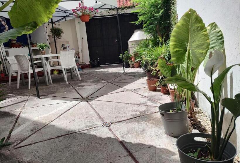 Casa Bugambilias Cancun   Hostel