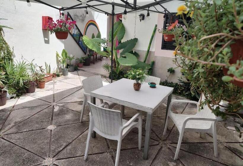 Casa Bugambilias Cancun   Hostel