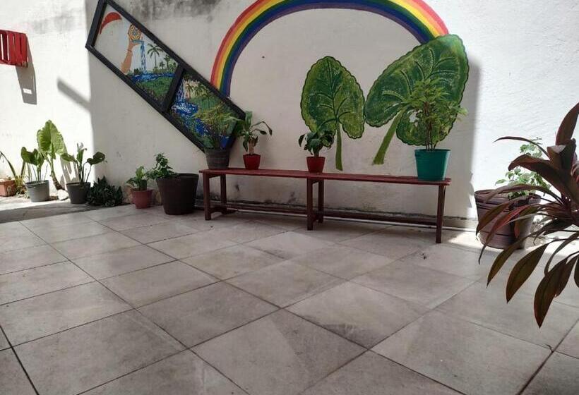 Casa Bugambilias Cancun   Hostel