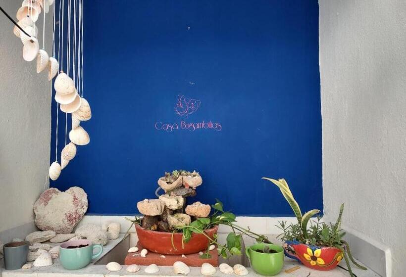 Casa Bugambilias Cancun   Hostel