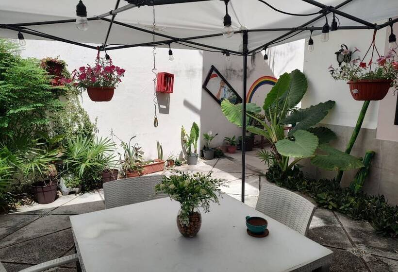 Casa Bugambilias Cancun   Hostel