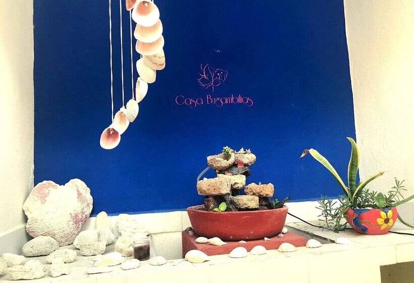 Casa Bugambilias Cancun   Hostel