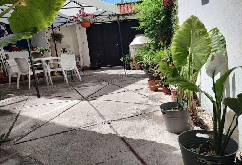 Casa Bugambilias Cancun   Hostel