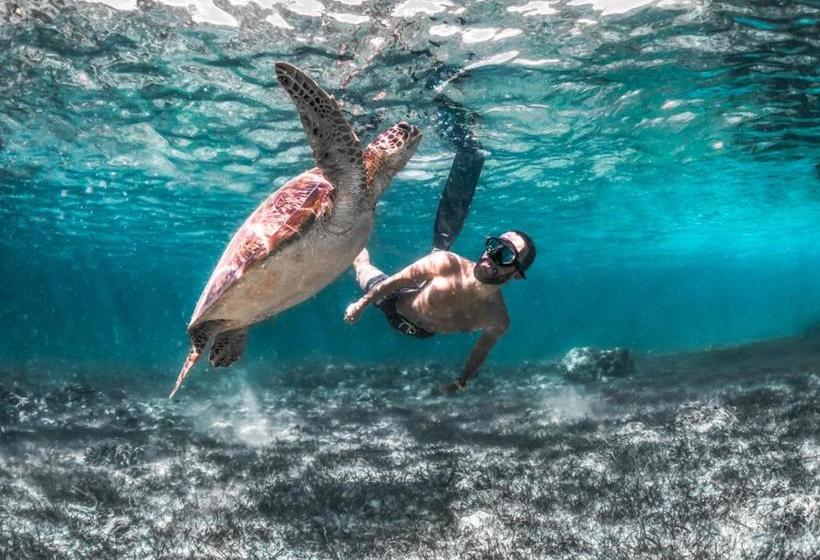 I M Okay Guesthouse  Hostel