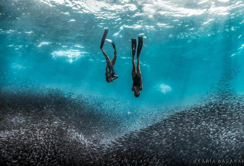 I M Okay Guesthouse  Hostel