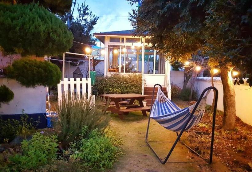 I M Okay Guesthouse  Hostel