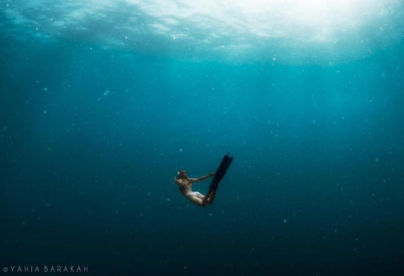 I M Okay Guesthouse  Hostel