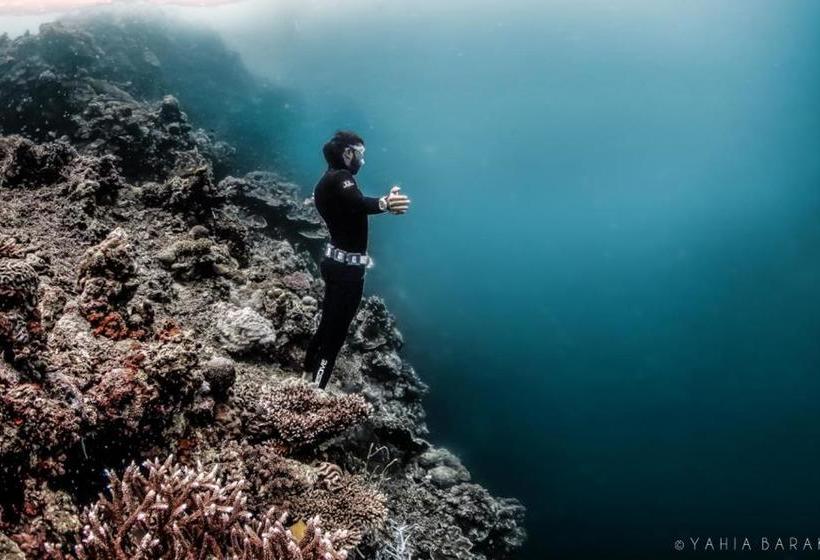 I M Okay Guesthouse  Hostel