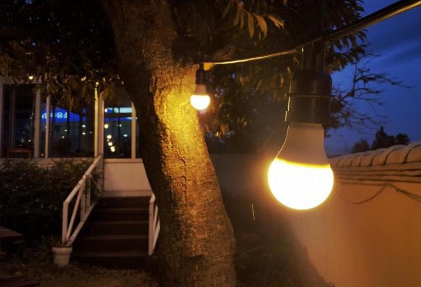 I M Okay Guesthouse  Hostel