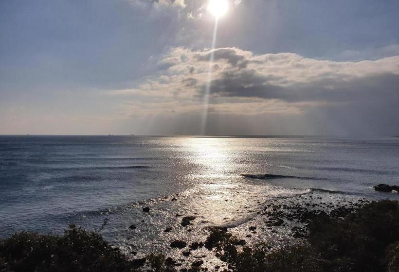 I M Okay Guesthouse  Hostel