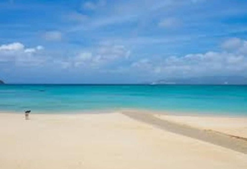 Yakasoba House   Hostel