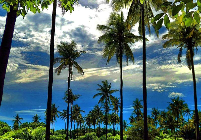 تختخواب و صبحانه Gilizen Resort  Private Pool Villas