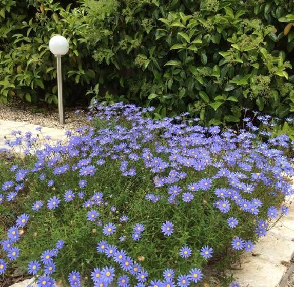 مبيت وإفطار Masseria La Tofala Benessere & Spa