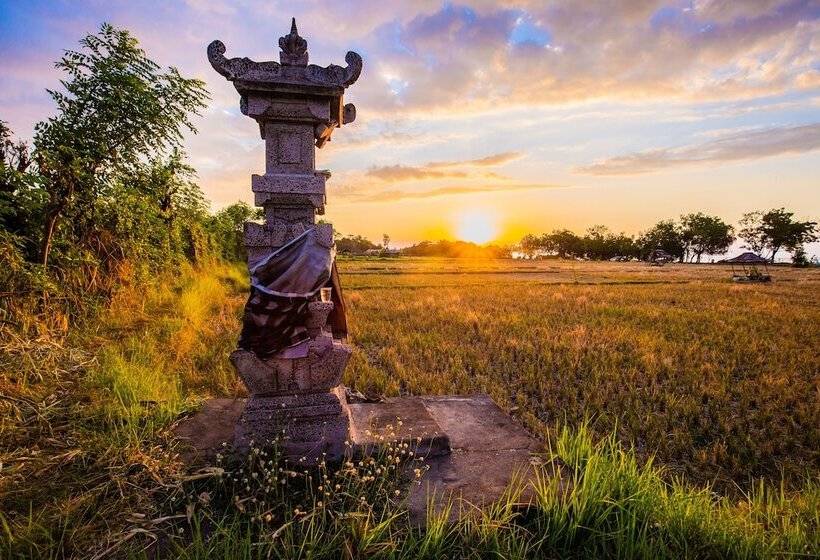 مبيت وإفطار Nalika Beach Resort & Restaurant   Adults Only