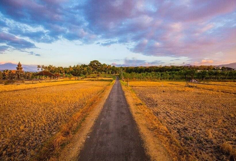 مبيت وإفطار Nalika Beach Resort & Restaurant   Adults Only