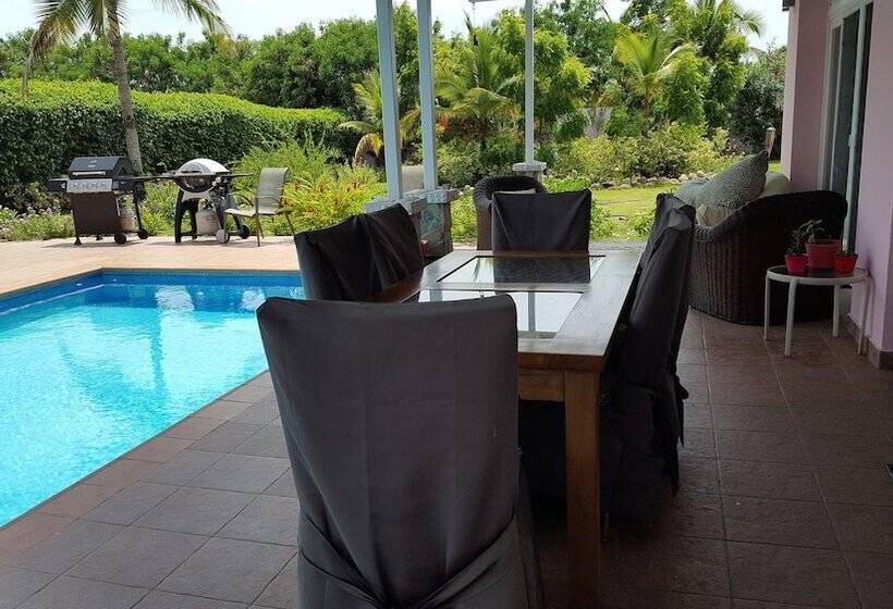 مبيت وإفطار Pink Palace Panama