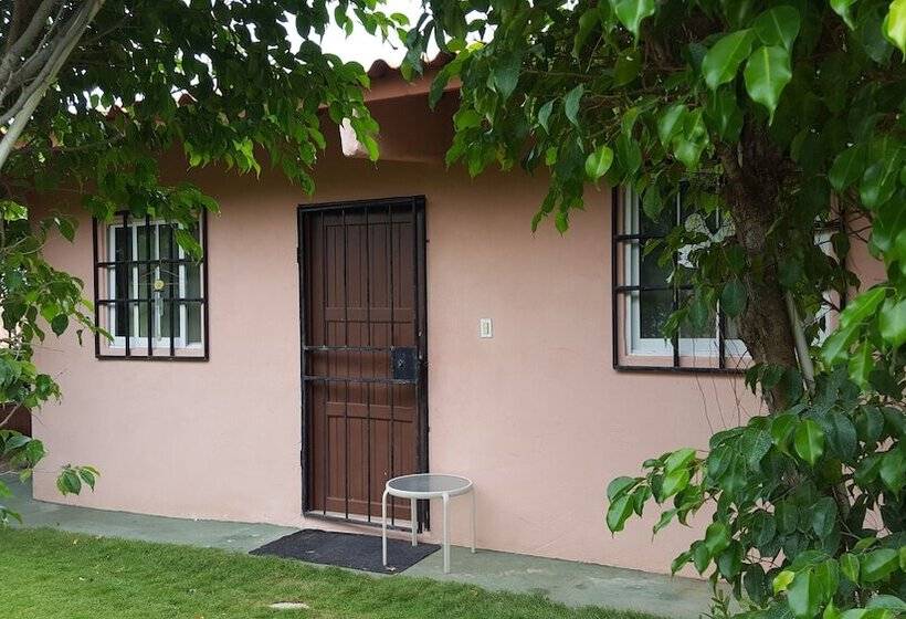 住宿加早餐  Pink Palace Panama