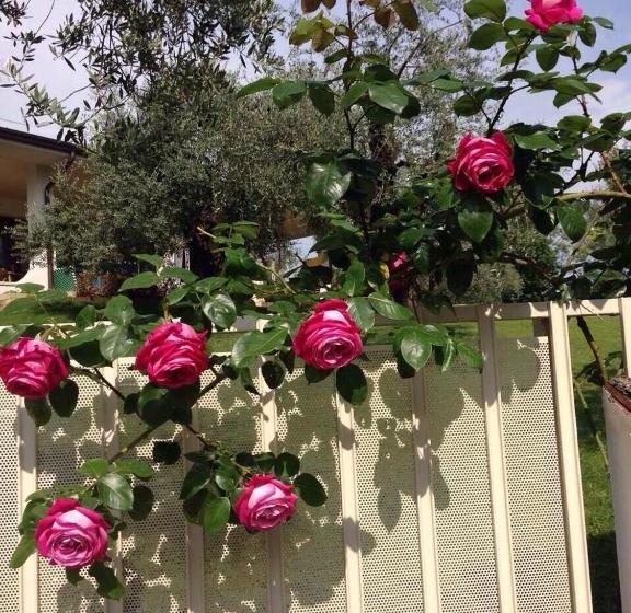 B&b Villa Gardasee With Pool