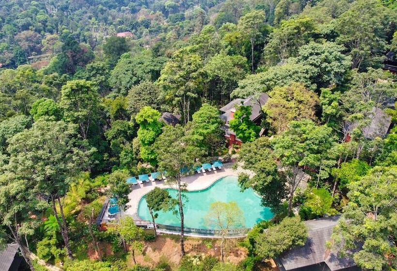 Coorg Wilderness Resort & Spa