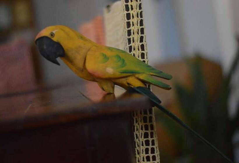 Hostel Pousada Queirah Jeri