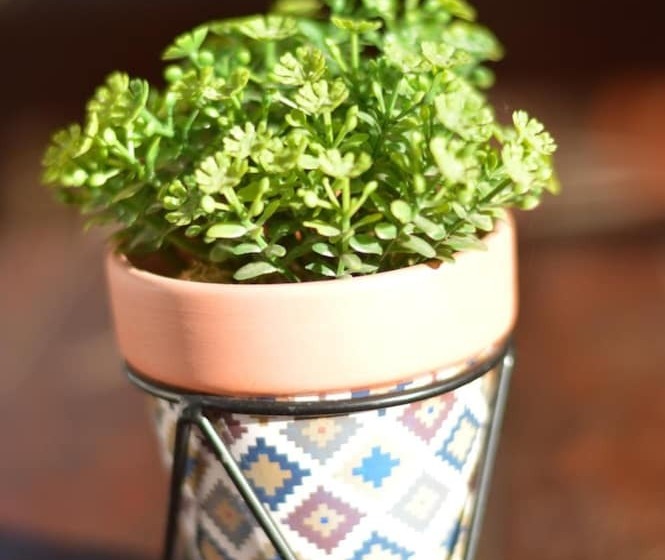 Hostel Pousada Queirah Jeri