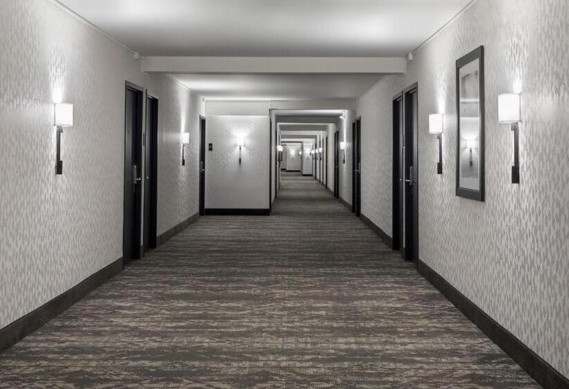 ホテル Caza Fishermans Wharf