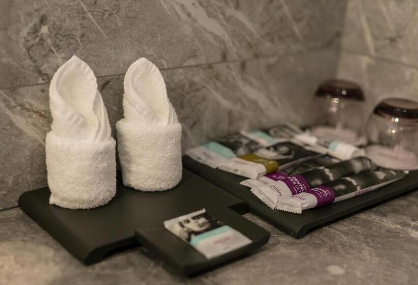 בית מלון כפרי Mercure Ordos Downtown