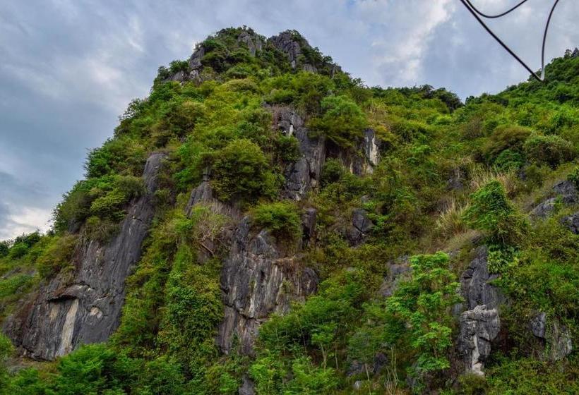 هتل Phong Nha Orient Homestay