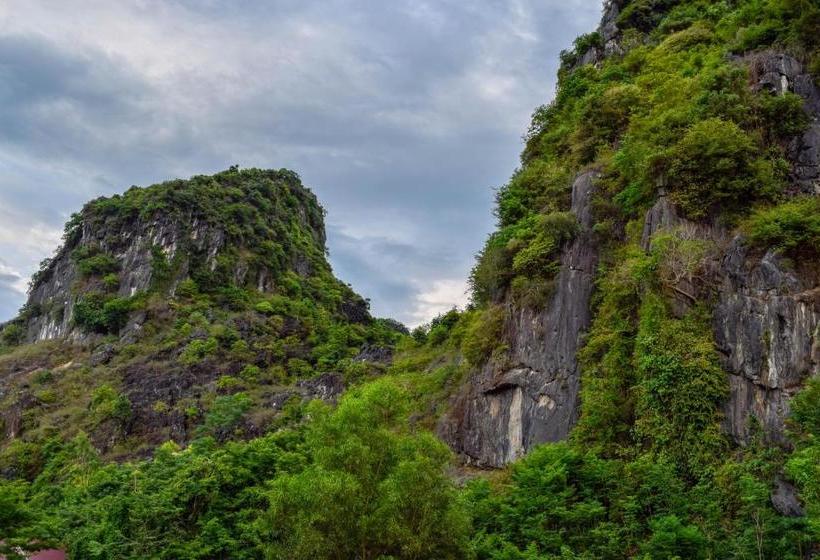هتل Phong Nha Orient Homestay