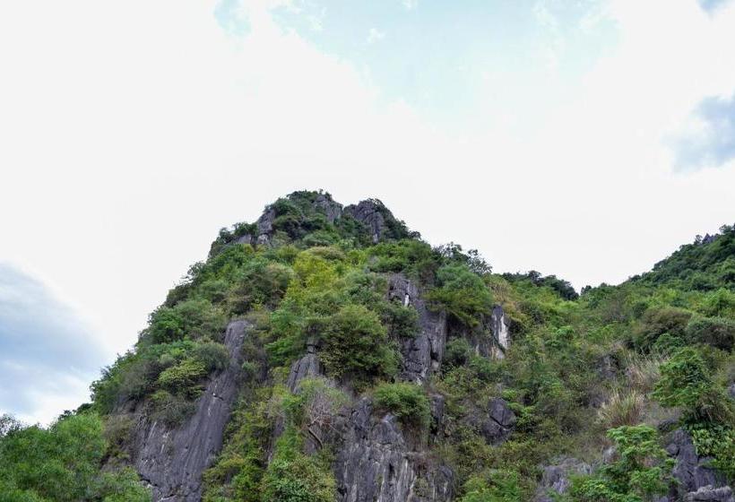 هتل Phong Nha Orient Homestay