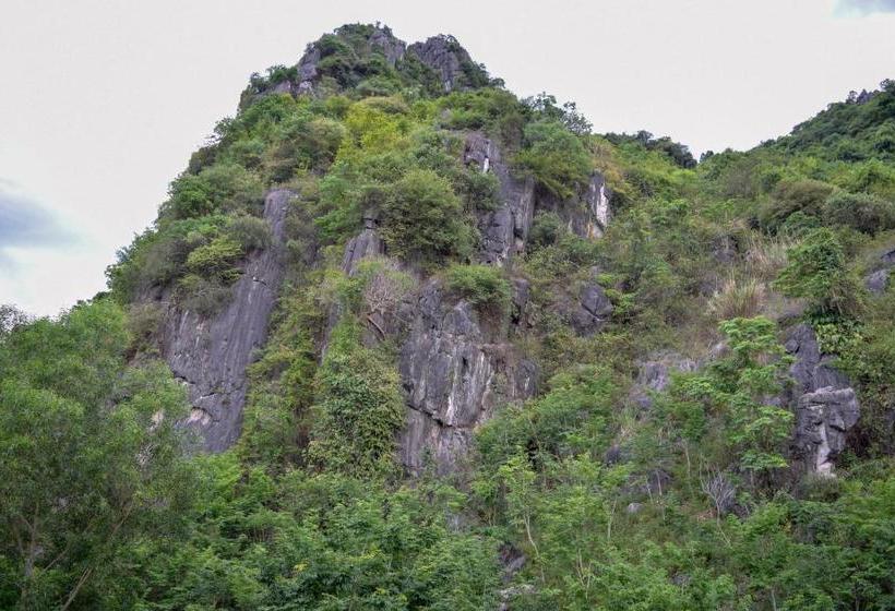 هتل Phong Nha Orient Homestay