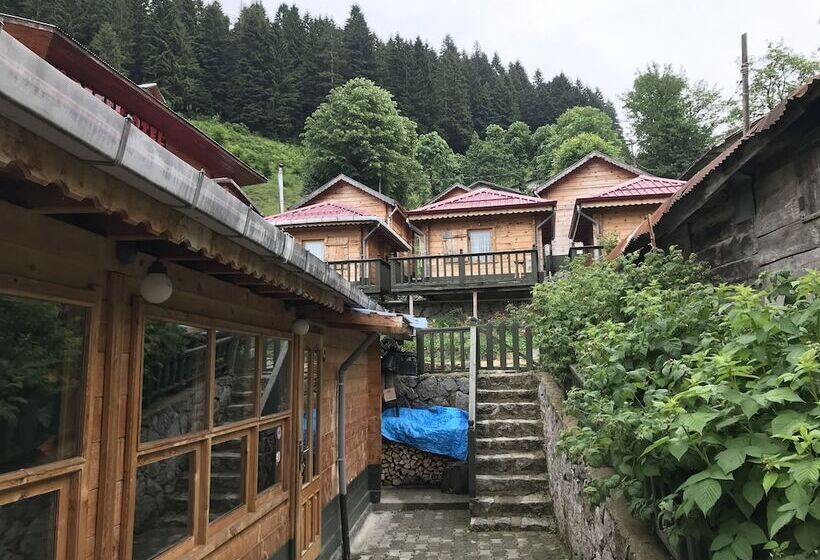 בית מלון כפרי Pilita Bungalov & Restaurant