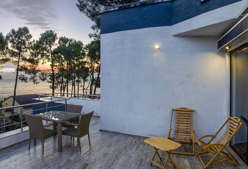 هتل Resolute Shekvetili