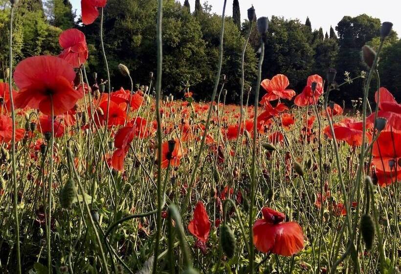 فندق Solimago Dimora Storica