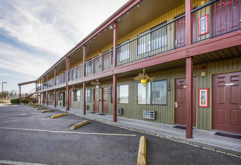 فندق على الطريق Arlington Motor Inn