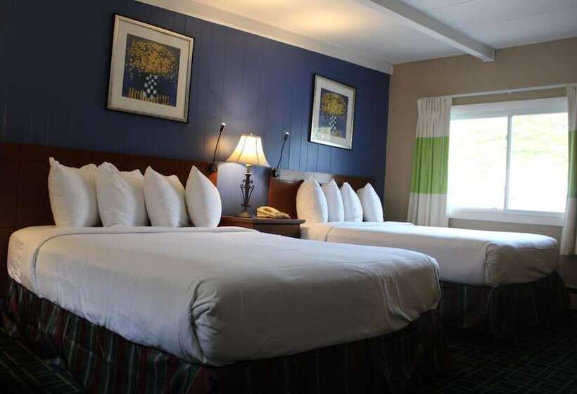 모텔 Claremont Motor Lodge